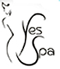 mini YS logo